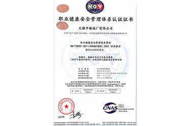 職業(yè)健康安全管理體系認證證書(shū)